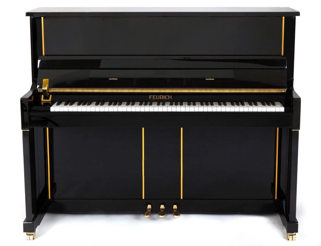 Polished Black / Brass